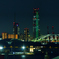 夜のコスモタワー遠景