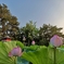 七夕まつり・おまけ