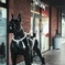 big dog