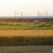 セピアカラー東海道新幹線！