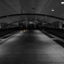 Colourful Black and White_10