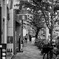 B/W