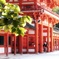 下鴨神社