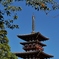 秋の薬師寺西塔