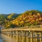 秋の渡月橋　文元達也