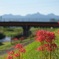 散歩道で①