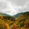 十勝岳の黄葉
