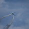 2025 三沢基地航空祭 Blue Impulse その13