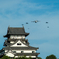 航空祭事前訓練４