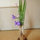 季節の花