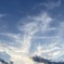 龍のような