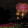 秦野たばこ祭花火2025 その２