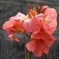 ABF75A36-994A-4BA4-97A6-1CA076B4A8F5