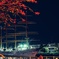 夜の散歩スナップ　海王丸II