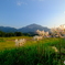 夕暮れ時　寺坂棚田
