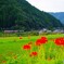 神河町8(兵庫)