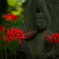 野佛と曼珠沙華