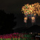 秦野たばこ祭花火2025 その３