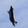 小松予行 20250930 F-35A機動飛行②