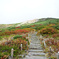 白山の紅葉