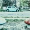 きのこの公園より
