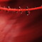 Drops