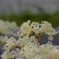22813D3B-72F5-410B-B630-9E7C0380CBF6