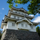 のぼうの城