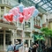 Tokyo Disney Land