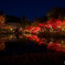 東山動植物園 紅葉ライトアップ 2024