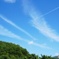 ひこうき雲