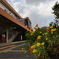 駅