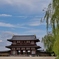 朱雀門と柳と・・。1