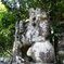 惣社八幡宮　拝殿前の狛犬（左側）