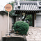 地元