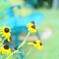 ベンチのそばの花