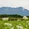 花の都公園