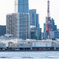 麻布台ヒルズ、東京タワー