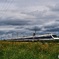 カルピスExpress