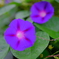 DSCF0248