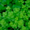 DSCF0254