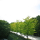 SDIM0223