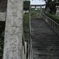 落ち葉（見えるかな）