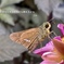 私的写真句 / iphoneスケッチ