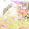 最後の秋桜