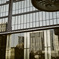 Reflection (Film)