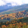 十勝岳望岳台の紅葉