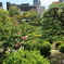 池泉回遊式日本庭園