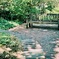 森のベンチ