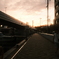 DSCF7233